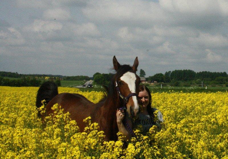 Gammelgaards La Titanic billede 24