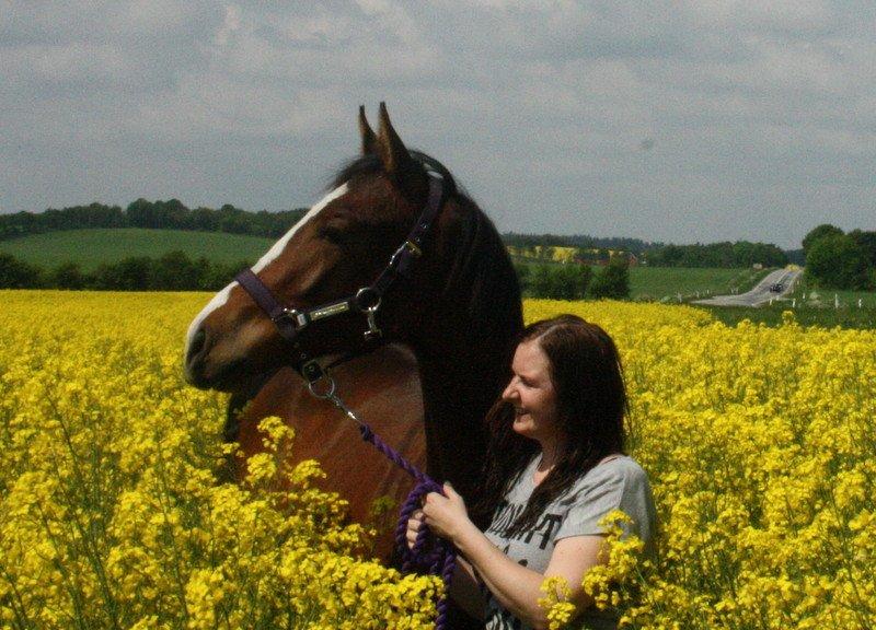 Gammelgaards La Titanic billede 25