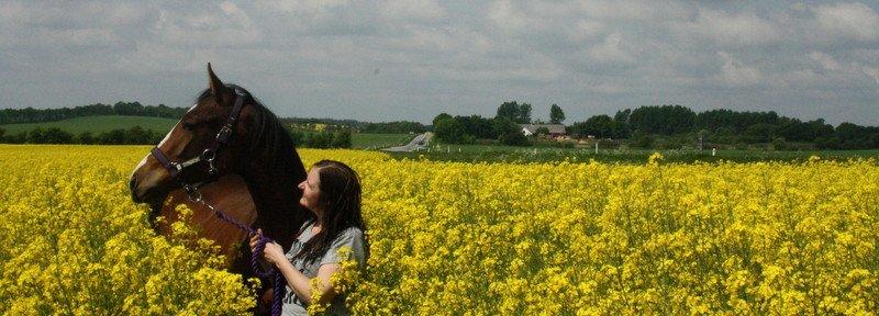 Gammelgaards La Titanic billede 26