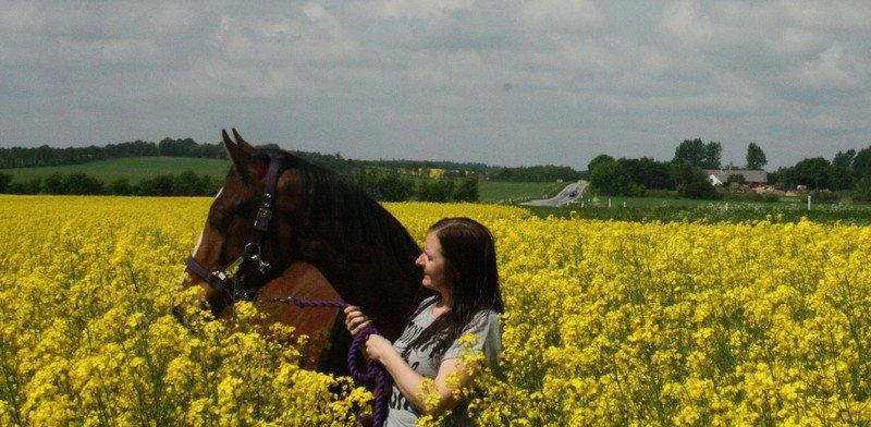 Gammelgaards La Titanic billede 27