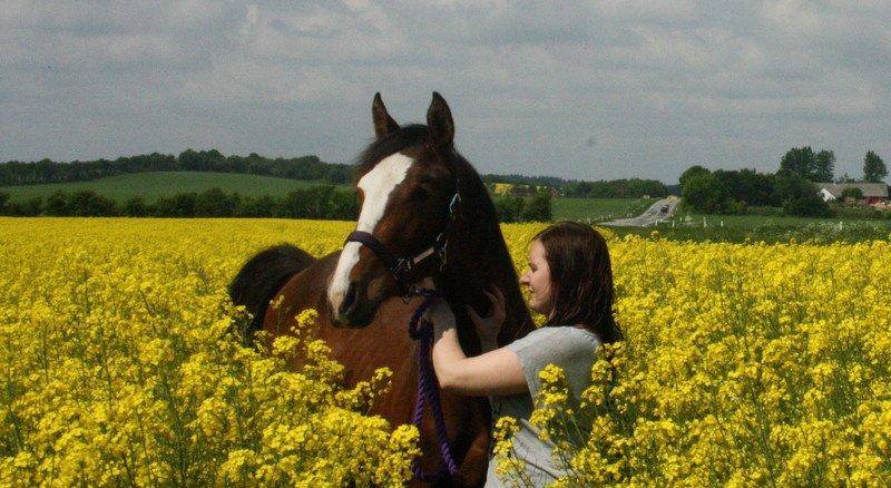 Gammelgaards La Titanic billede 28