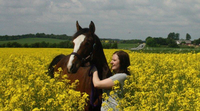 Gammelgaards La Titanic billede 29