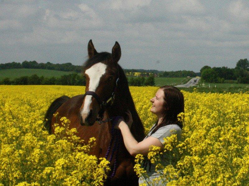 Gammelgaards La Titanic billede 30