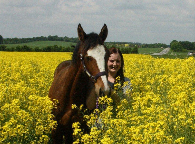 Gammelgaards La Titanic billede 36