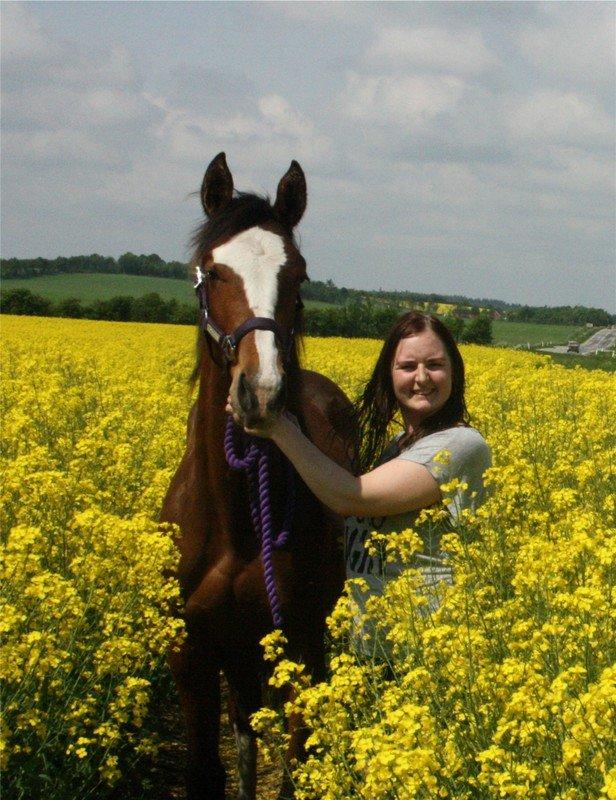 Gammelgaards La Titanic billede 1