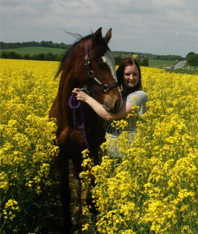 Gammelgaards La Titanic billede 37