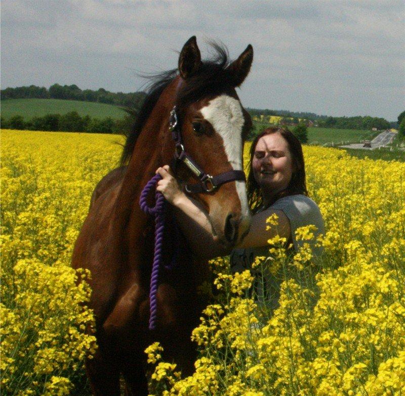 Gammelgaards La Titanic billede 38