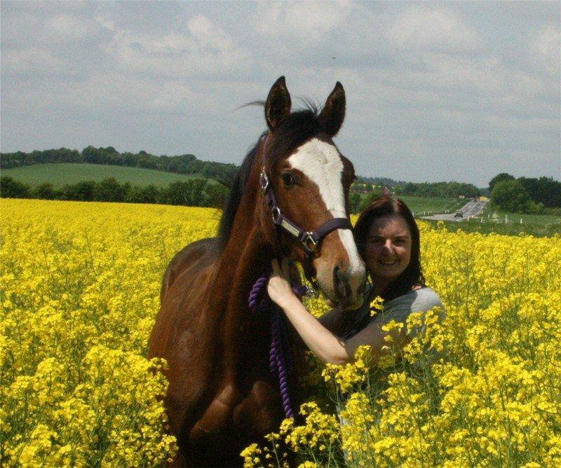 Gammelgaards La Titanic billede 39