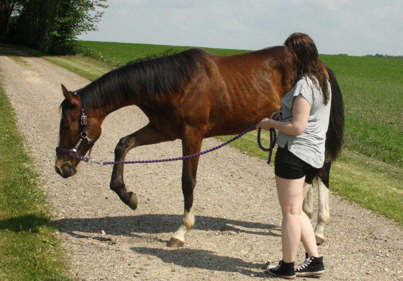 Gammelgaards La Titanic billede 42