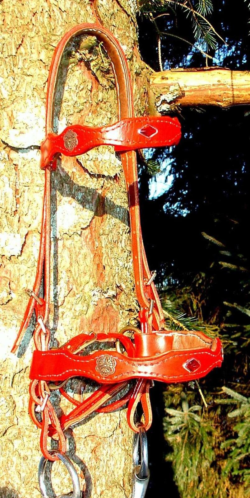  hjemmelavet lammeunderlag, stangmåler, flecetæppe, regndækken, rebgrime, mm.  - Trense/sidepull til Maddie, lavet af et par genbrugs bælter billede 1