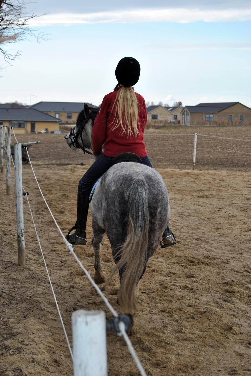 Louise Gregersen & Korreborgs Barolo - Dressurtræning  billede 3