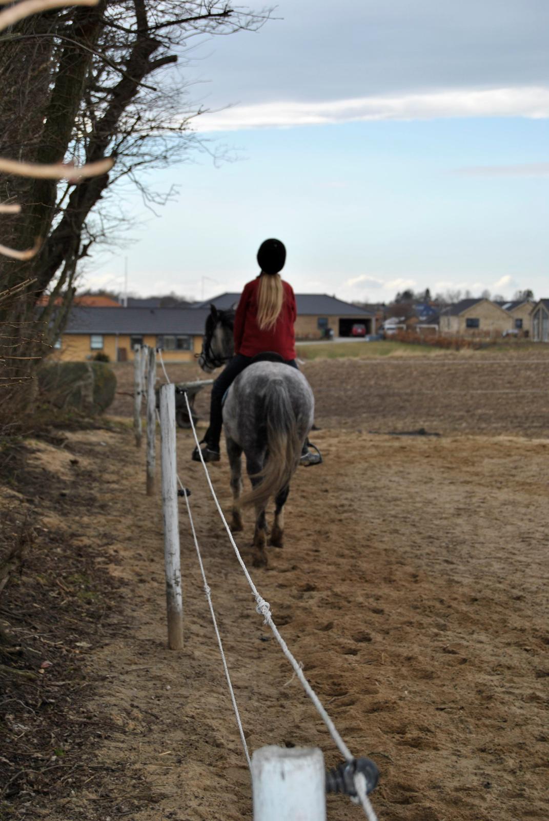 Louise Gregersen & Korreborgs Barolo - Dressurtræning  billede 4