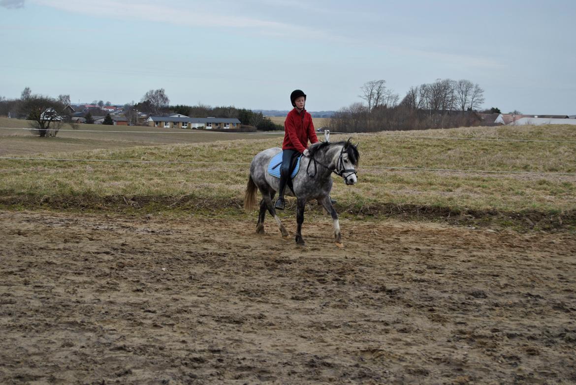 Louise Gregersen & Korreborgs Barolo - Dressurtræning  billede 6