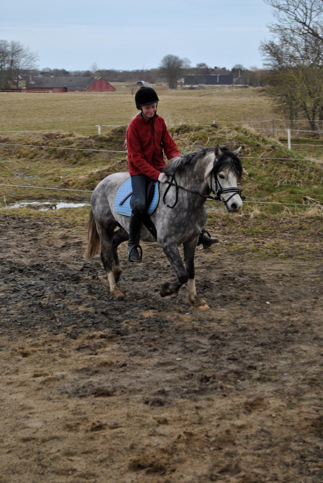 Louise Gregersen & Korreborgs Barolo - Dressurtræning  billede 10