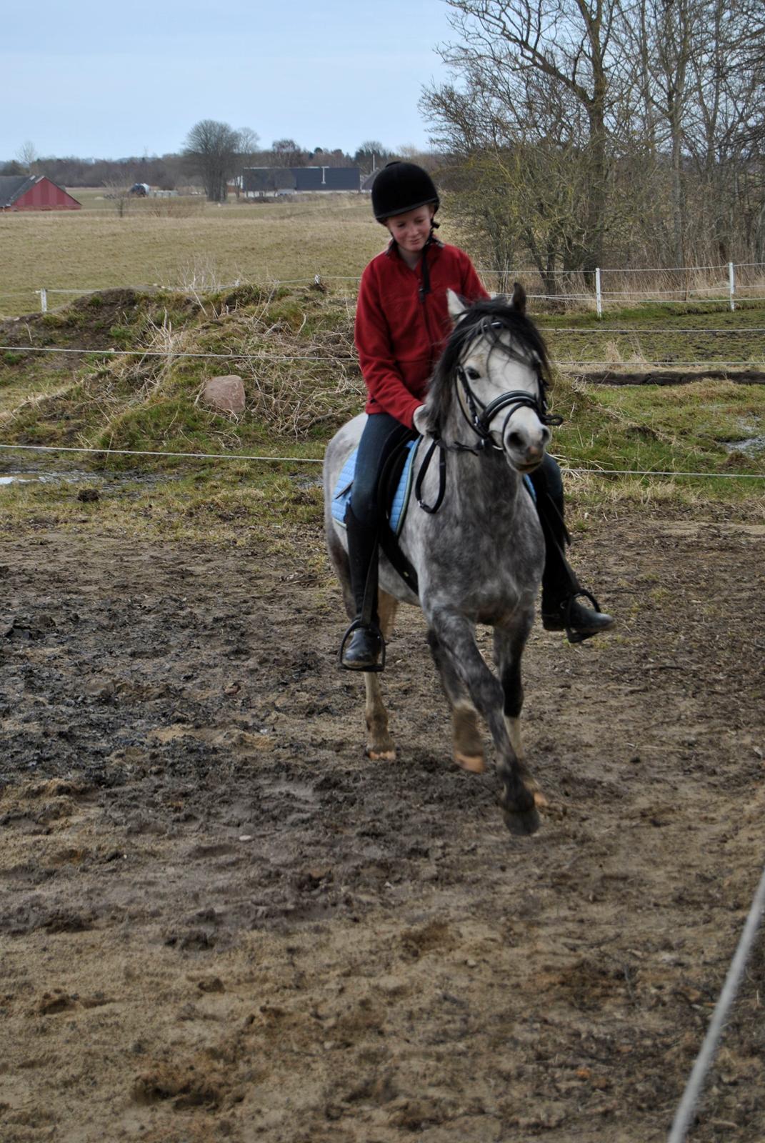 Louise Gregersen & Korreborgs Barolo - Dressurtræning  billede 11