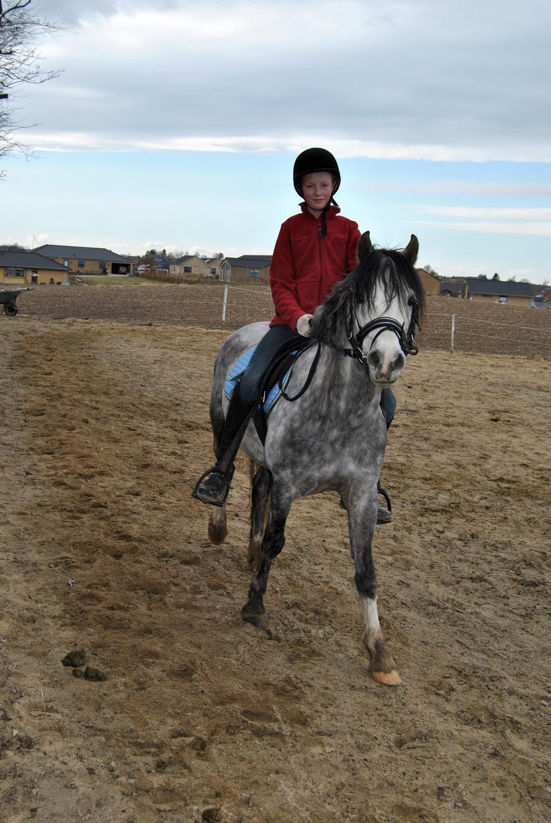 Louise Gregersen & Korreborgs Barolo - Dressurtræning  billede 12