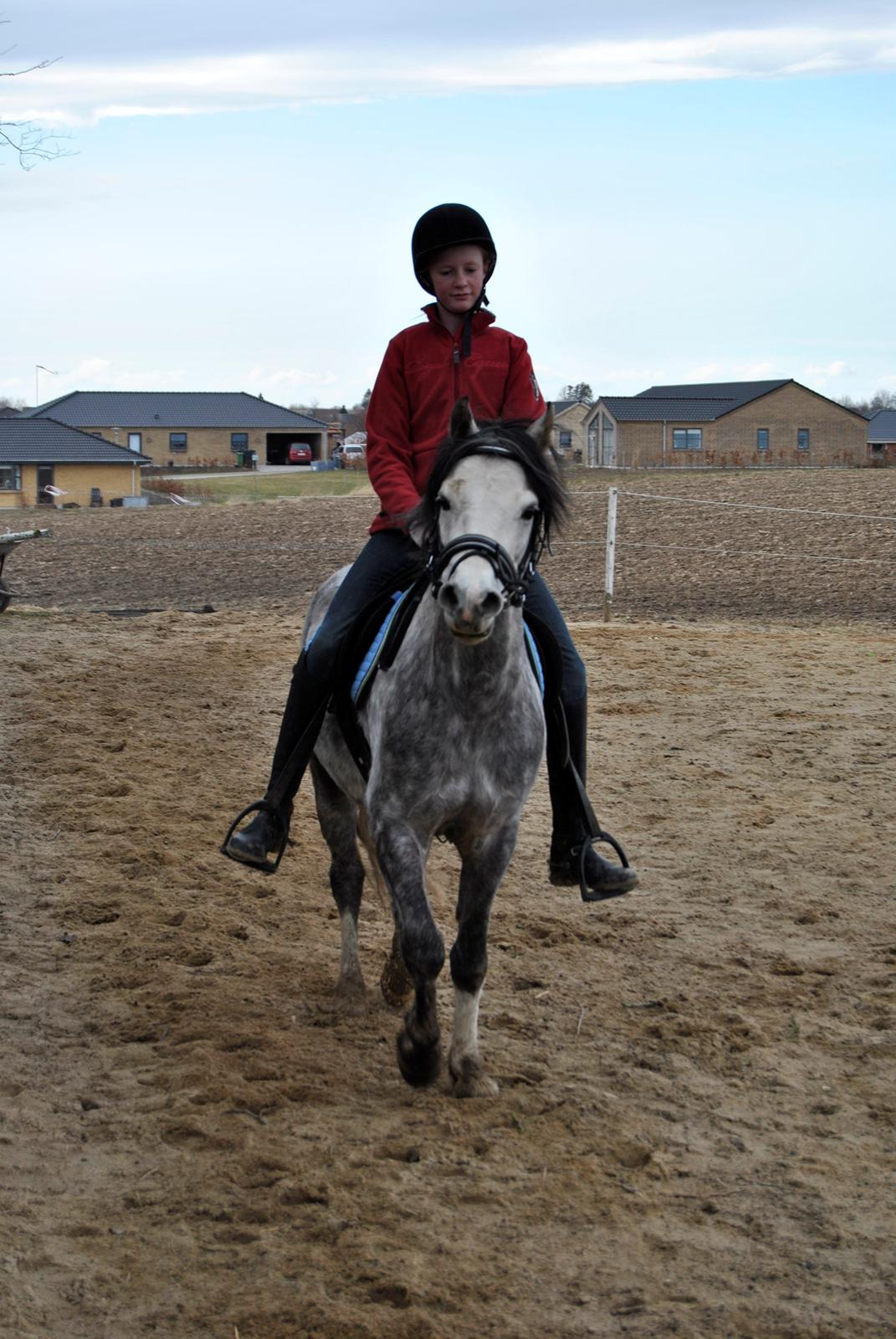Louise Gregersen & Korreborgs Barolo - Dressurtræning  billede 13