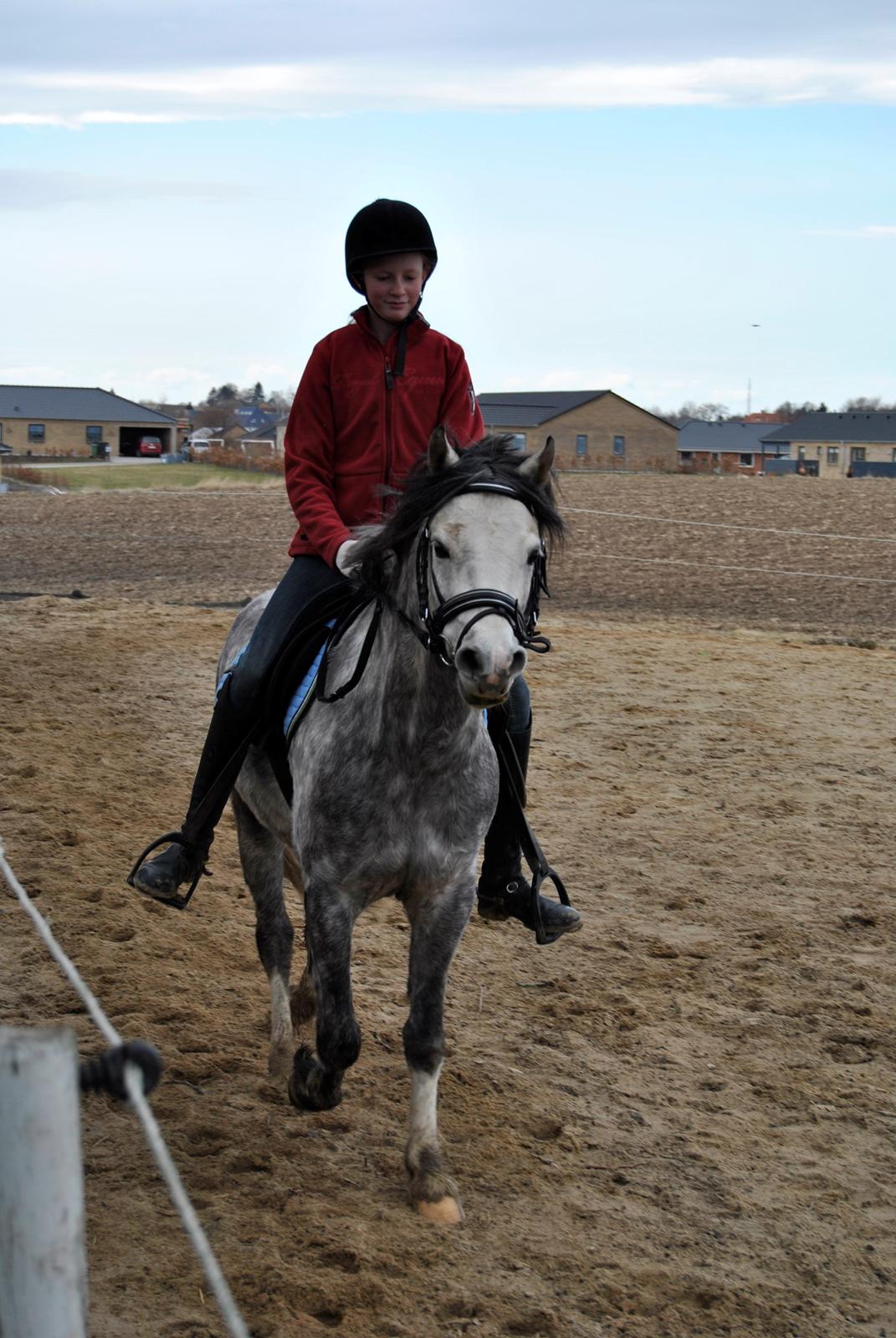 Louise Gregersen & Korreborgs Barolo - Dressurtræning  billede 14