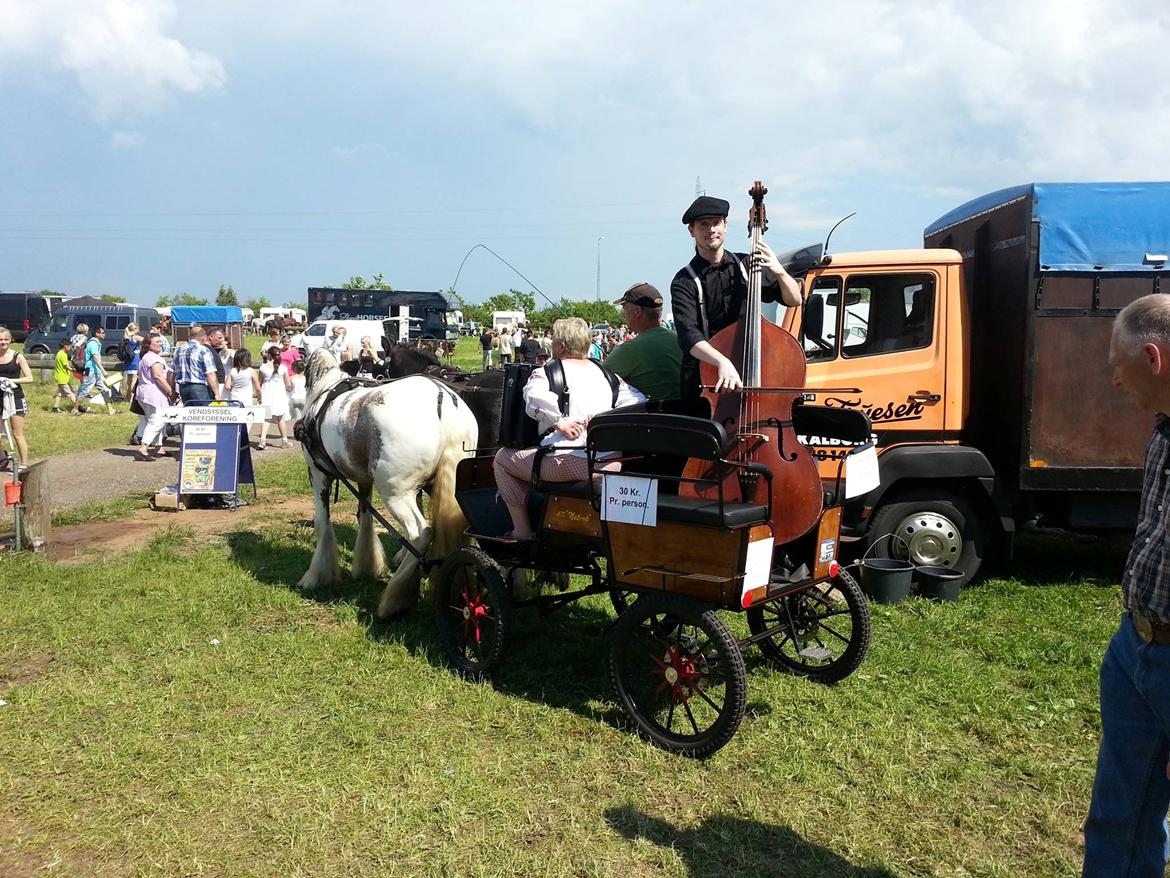 Kaperheste Hjallerup Marked billede 2