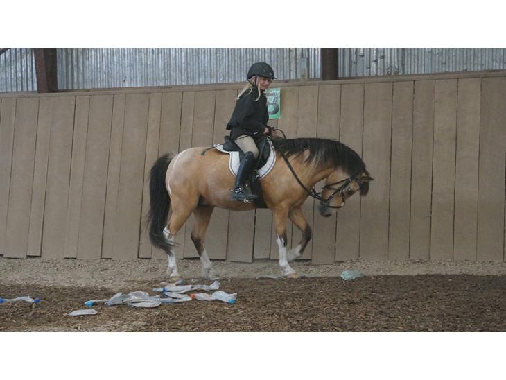 {{currentPhoto.altText}} billede {{currentPhoto.number}}