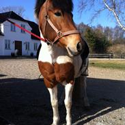 Mine unger... :)