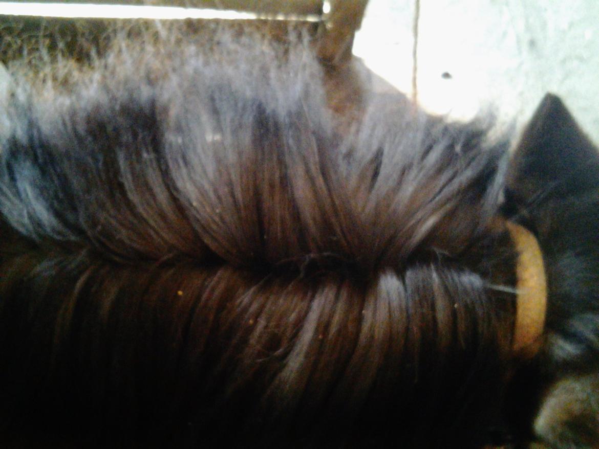 Fletteguide - 2 x fransk fletning - Sørg for at der ca. er lige meget man på begge sider af skilningen, så de to fletninger får omtrent den samme størrelse.  billede 7