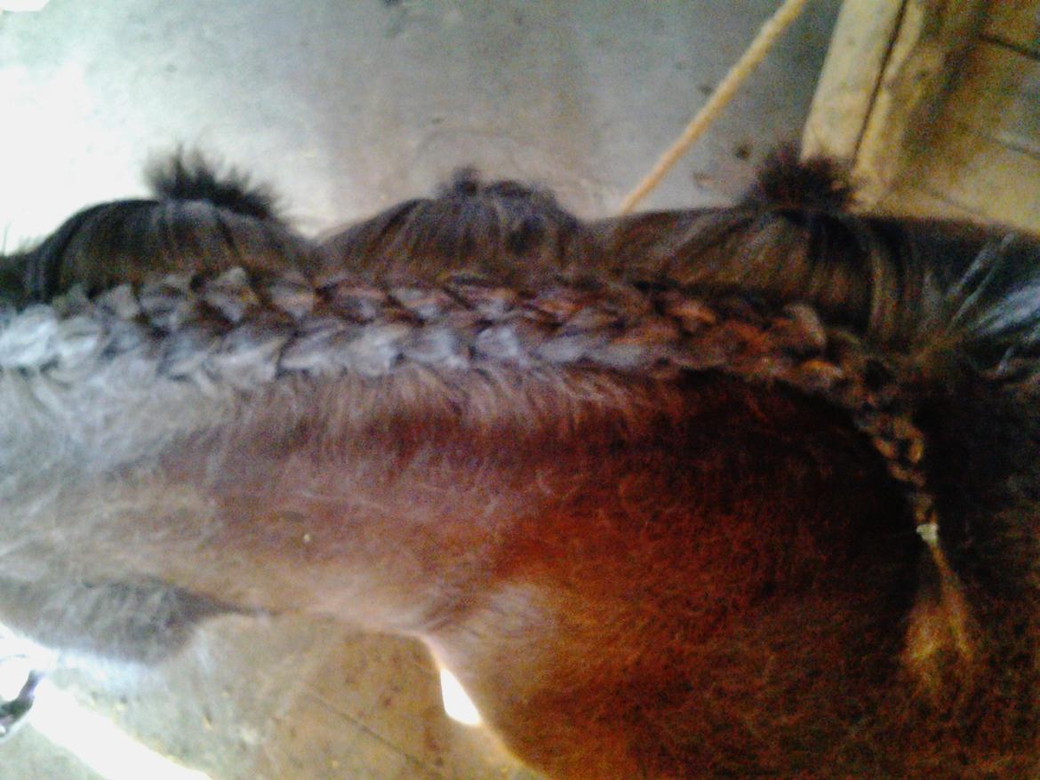 Fletteguide - 2 x fransk fletning - Og sådan fortsætter man hele vejen ned med at tage totter at den løse man med ind i de yderste totter i fletningen.  billede 16