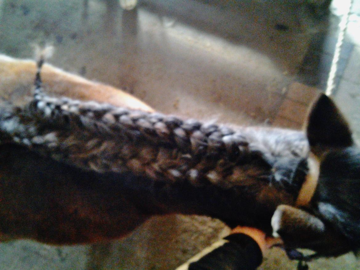 Fletteguide - 2 x fransk fletning - Dette samme gøre med håret på den modsatte side af skilningen. billede 18