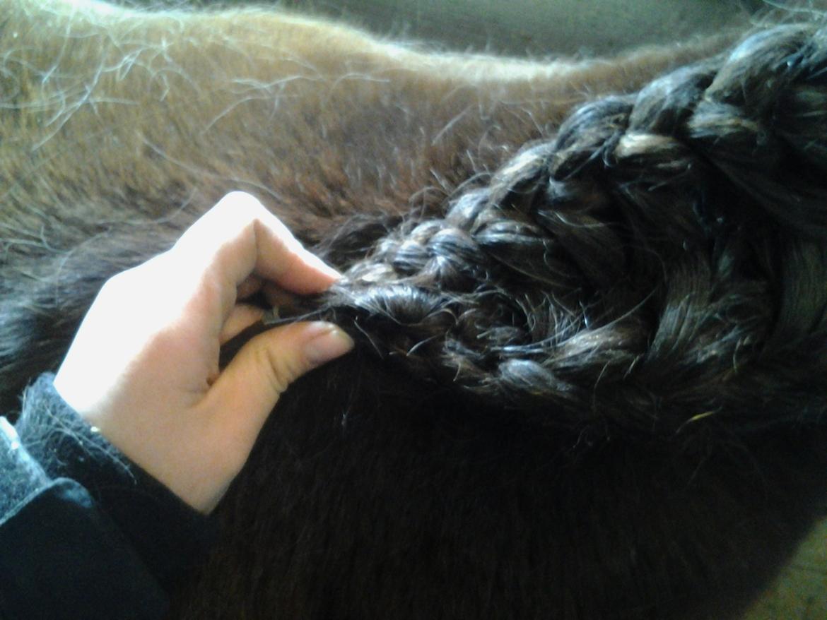 Fletteguide - 2 x fransk fletning - De to ender sættes sammen i en lille knold med en elastik. billede 19