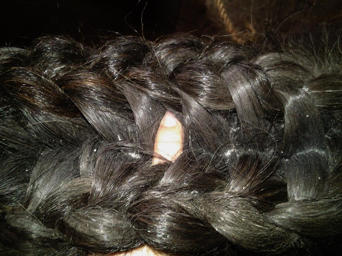 Fletteguide - 2 x fransk fletning - For at forstærke fletningen, er det en god idé at sy de to fletninger sammen, som vist på billedet. billede 20