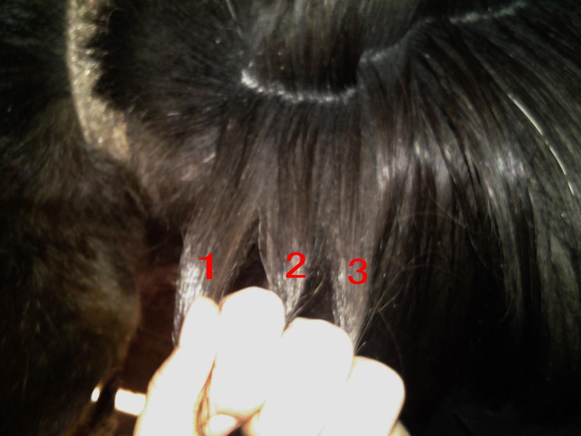 Fletteguide - 2 x fransk fletning - Del totten i 3 dele. billede 10