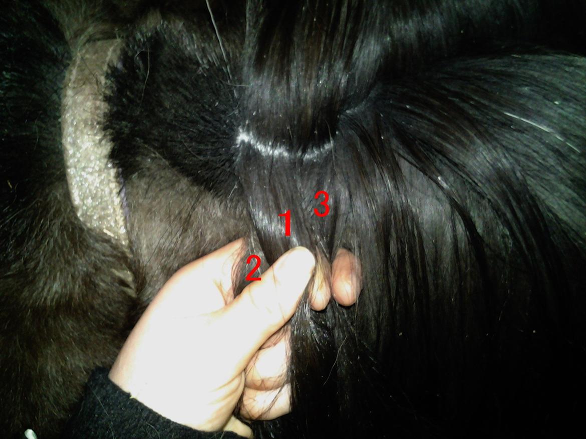 Fletteguide - 2 x fransk fletning - Tag tot 1 ind over tot 2, som det ses på billedet. billede 11