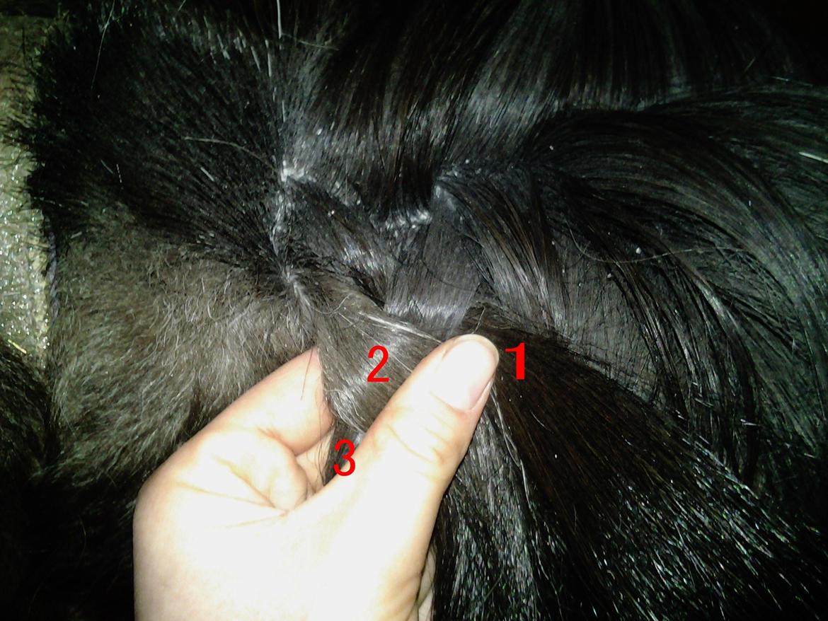 Fletteguide - 2 x fransk fletning - Nu skal tot 2 over tot 3. Inden totterne ligges over hinanden, skal tot 2 have en tot af den løse man med sig. billede 13