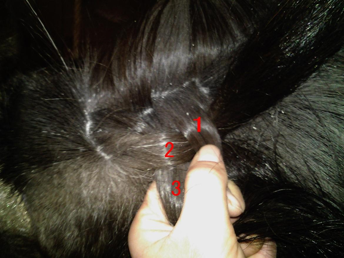 Fletteguide - 2 x fransk fletning - Dernæst skal tot 1 ind over tot 2. Inden totterne ligges over hinanden, skal tot 1 have en tot af den løse man med. billede 14