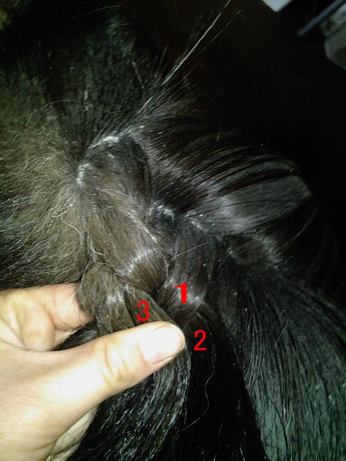 Fletteguide - 2 x fransk fletning - Herefter skal tot 3 ind over tot 1. Inden totterne ligges over hinanden, skal tot 3 have en tot at den løse man med sig. billede 15