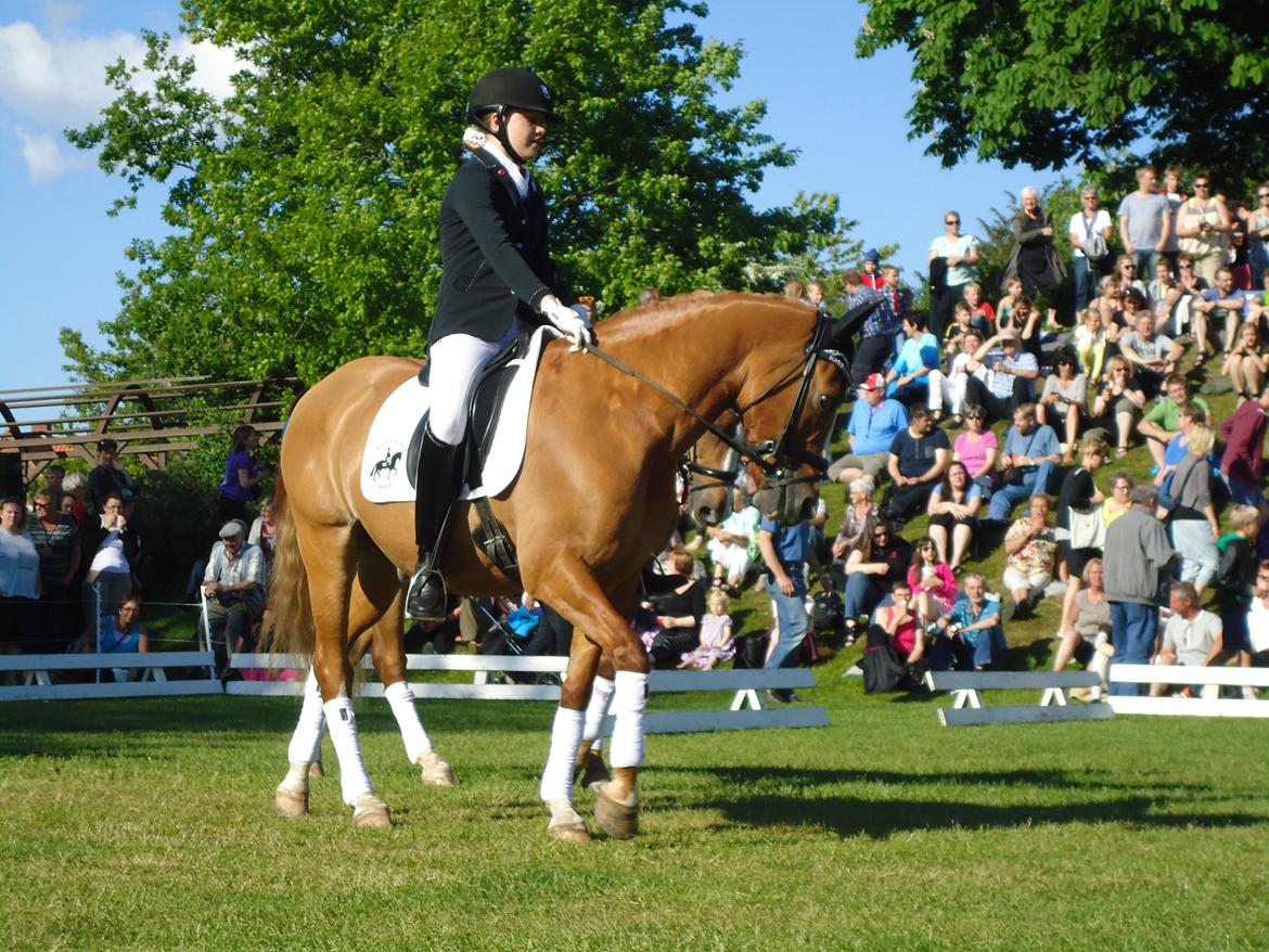 Gardehusarer i Haderslev billede 1