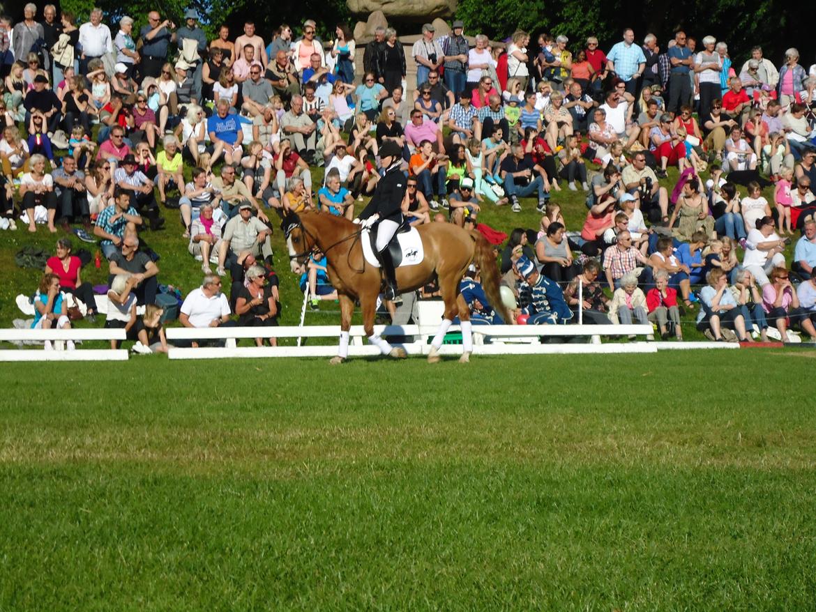 Gardehusarer i Haderslev billede 3