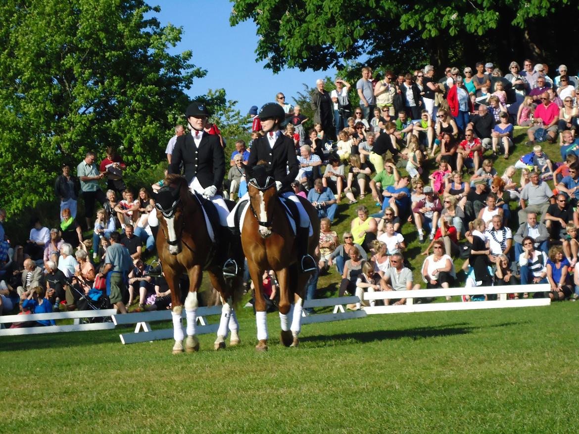 Gardehusarer i Haderslev billede 4