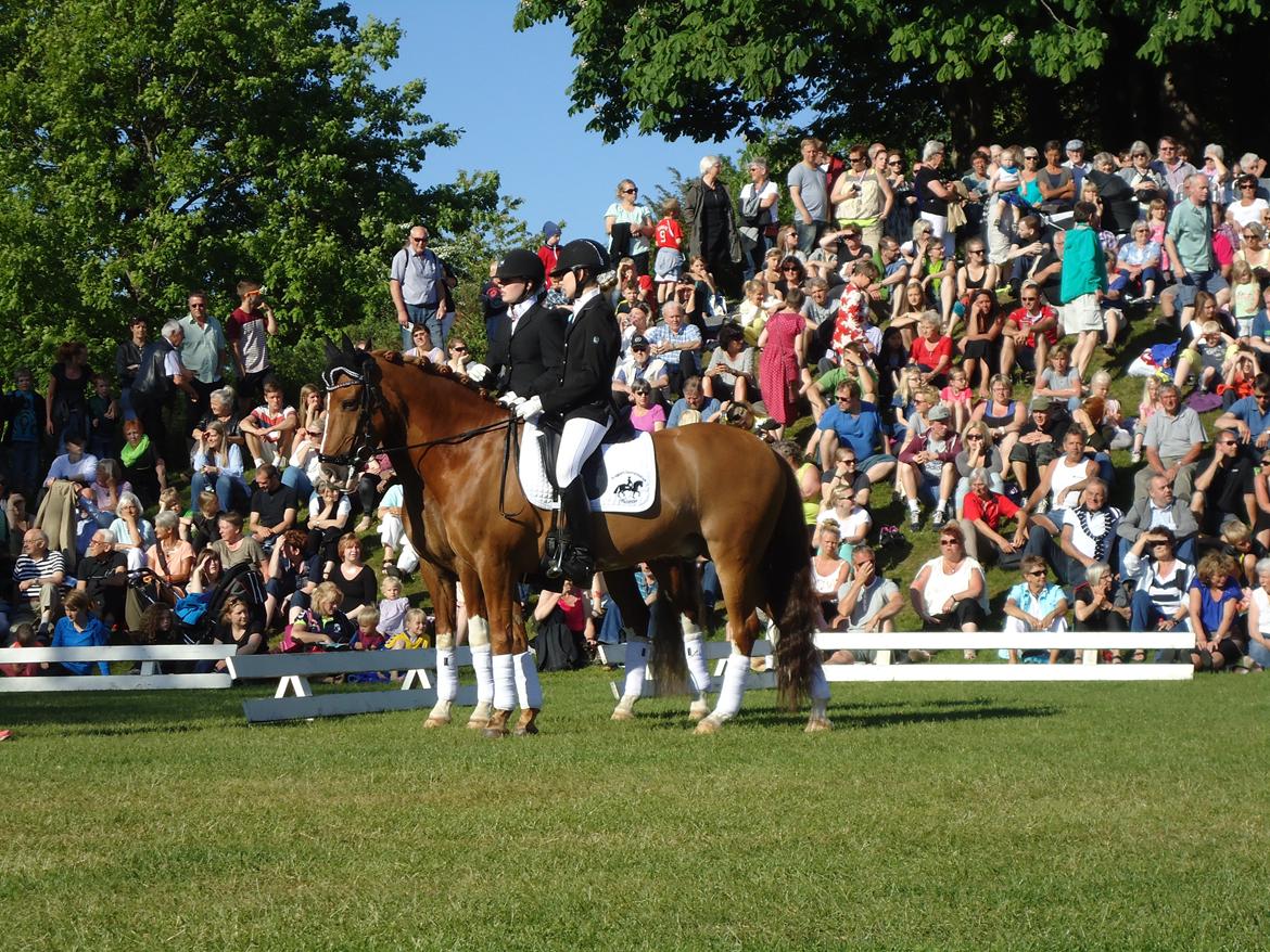 Gardehusarer i Haderslev billede 6