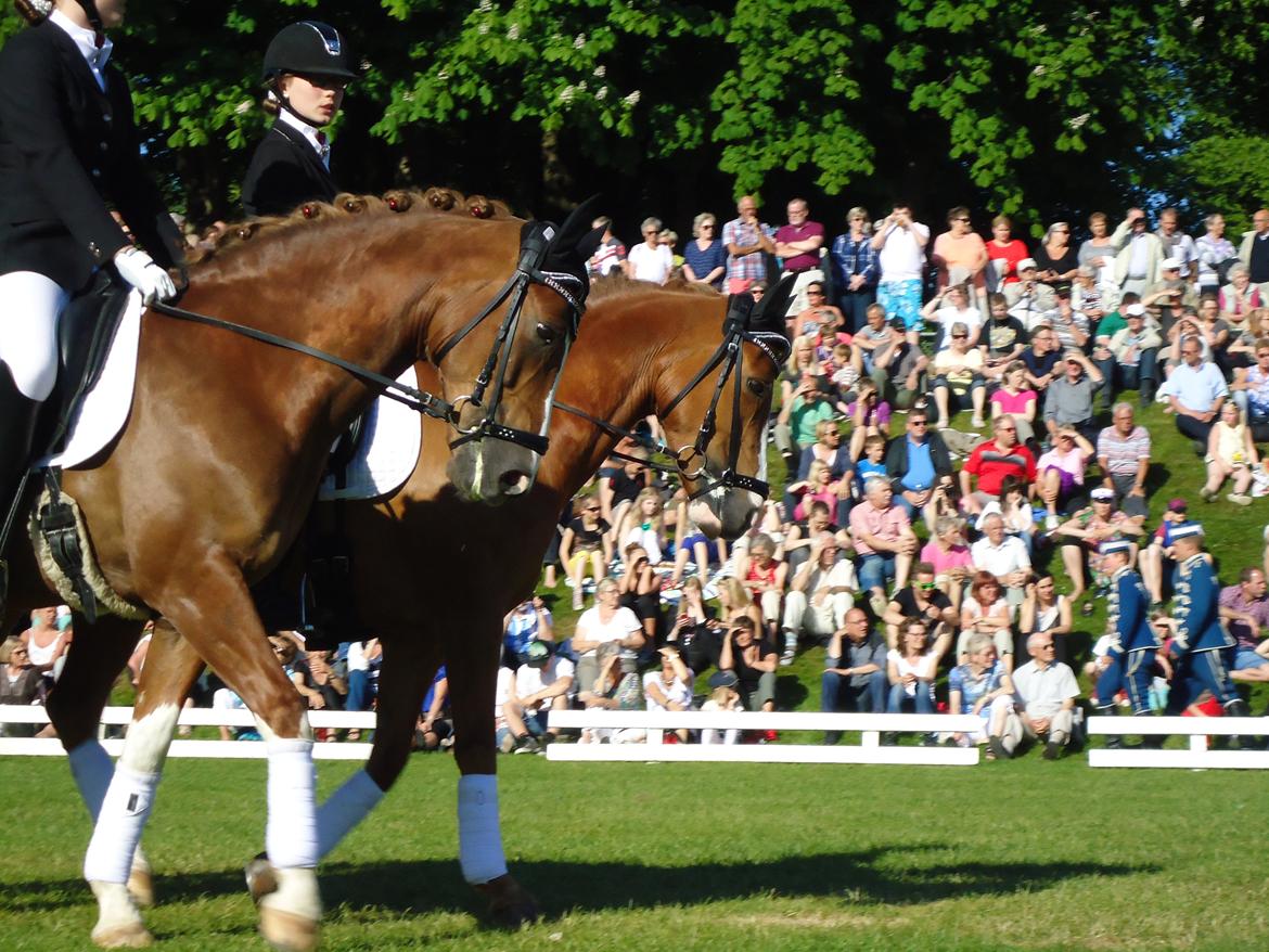 Gardehusarer i Haderslev billede 7
