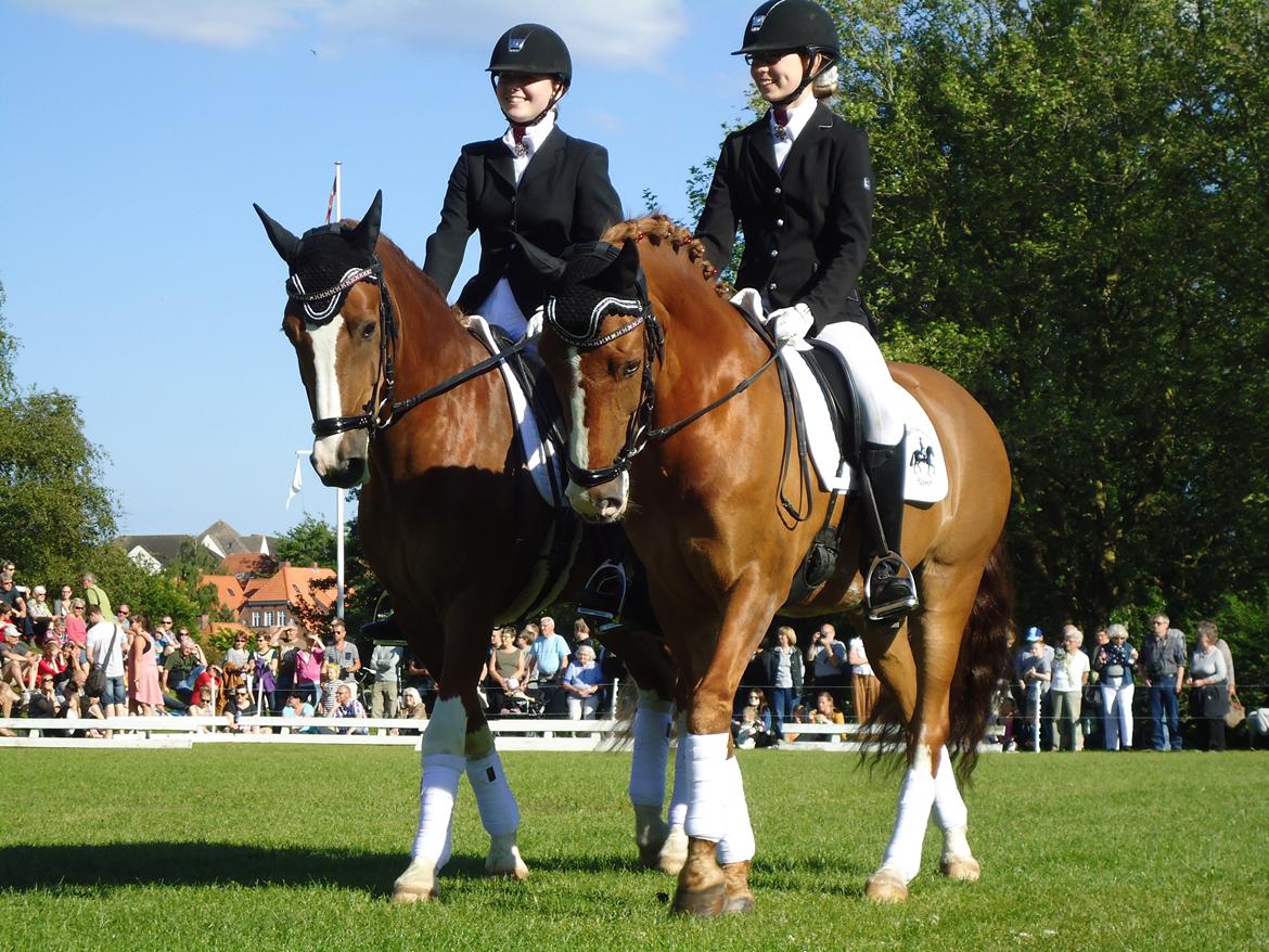 Gardehusarer i Haderslev billede 8