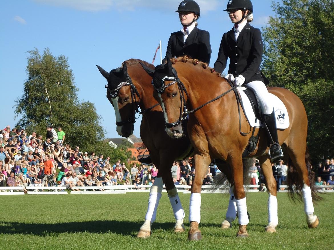 Gardehusarer i Haderslev billede 9