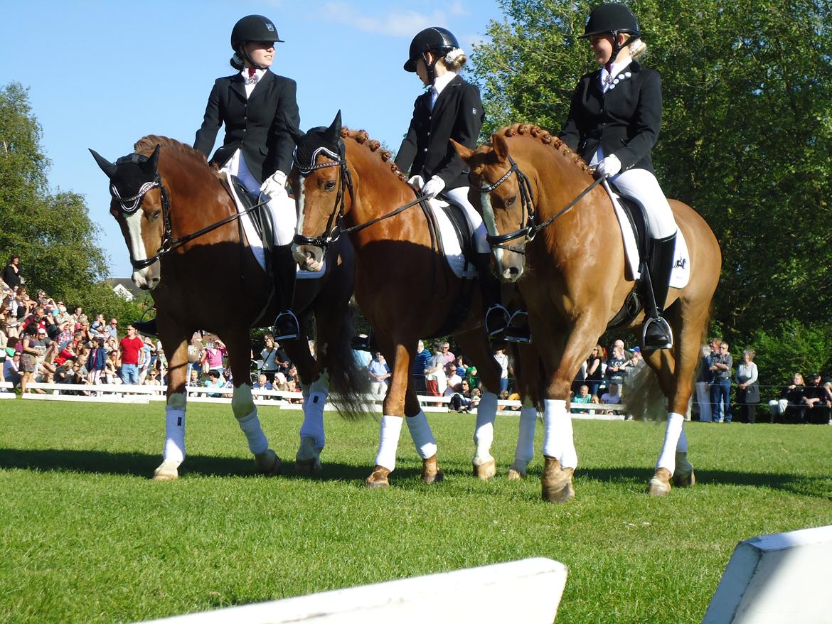 Gardehusarer i Haderslev billede 10
