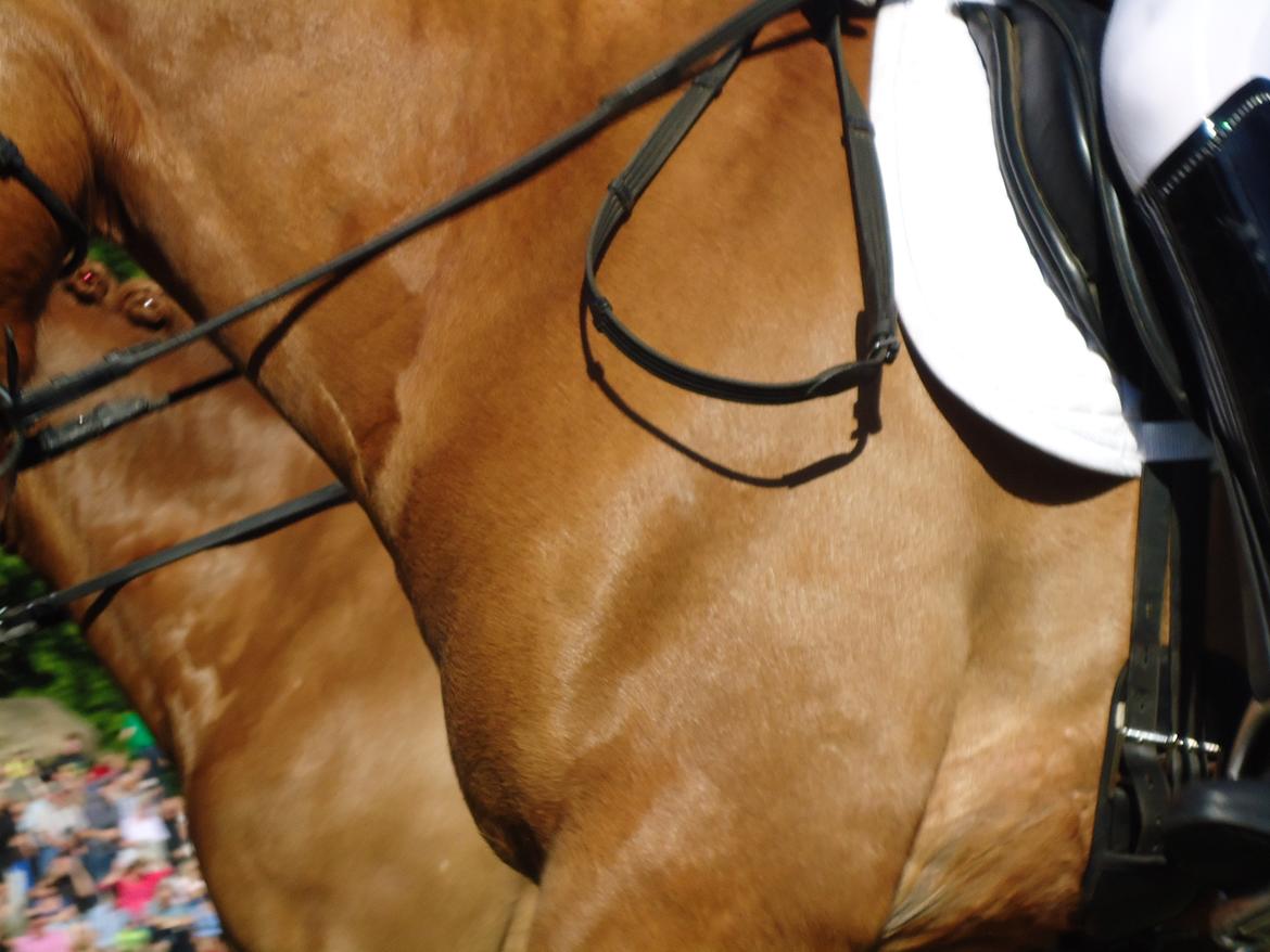 Gardehusarer i Haderslev billede 12