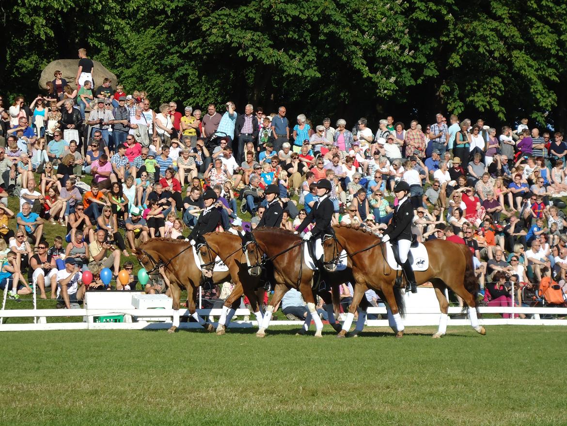 Gardehusarer i Haderslev billede 13