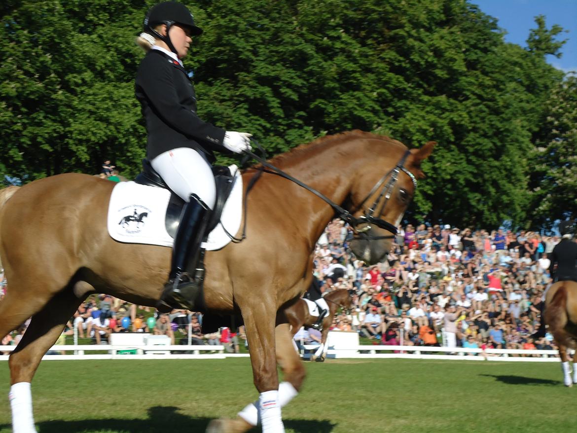 Gardehusarer i Haderslev billede 17