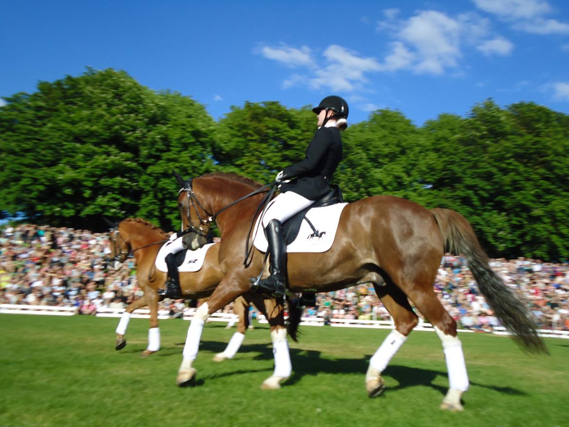 Gardehusarer i Haderslev billede 18