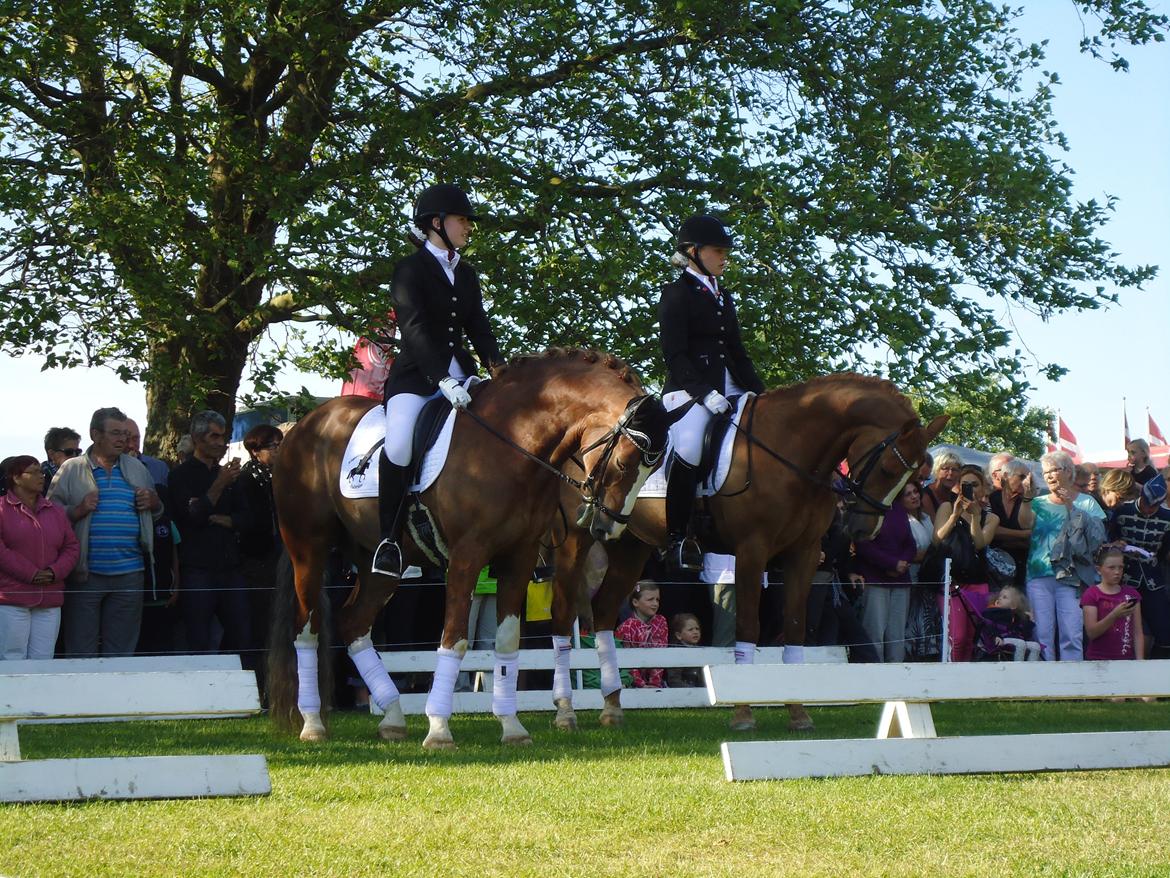 Gardehusarer i Haderslev billede 19