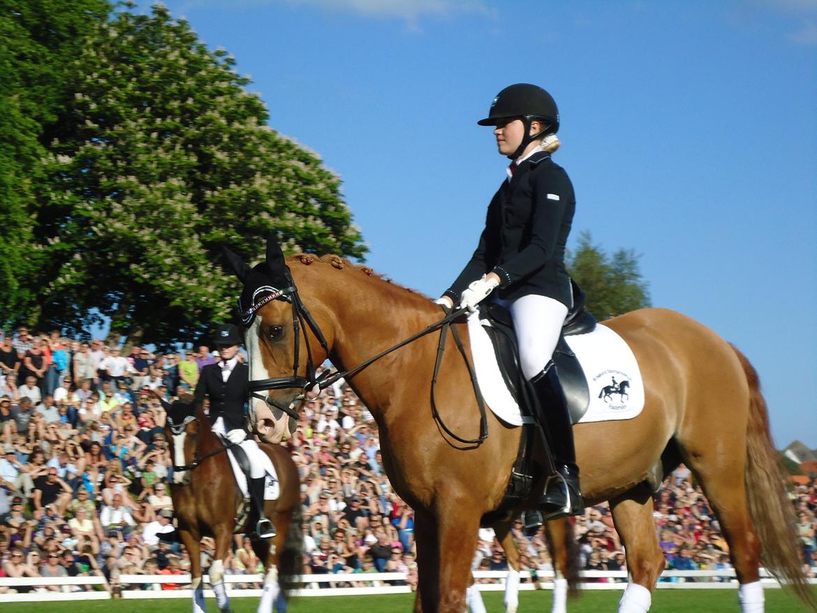 Gardehusarer i Haderslev billede 21