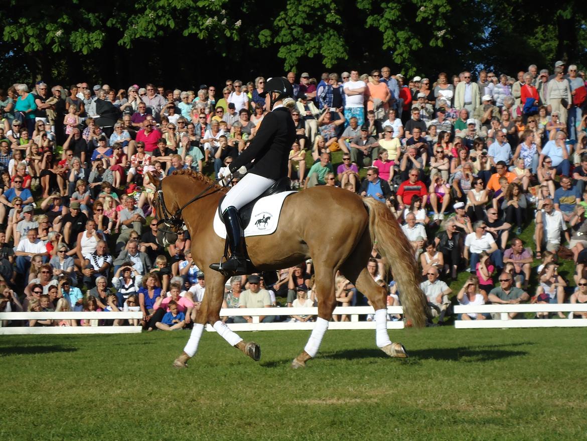 Gardehusarer i Haderslev billede 23